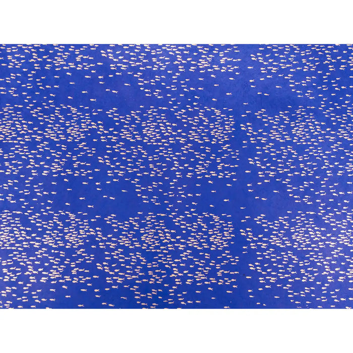 BP252F43-BogenFischschwarm-Siebdruck-43-koenigsblau-silber-Tudi-Billo-Produktansicht-ganzer-bogen