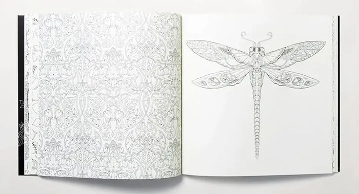 Laurence King Verlag / Enchanted Forest Innen