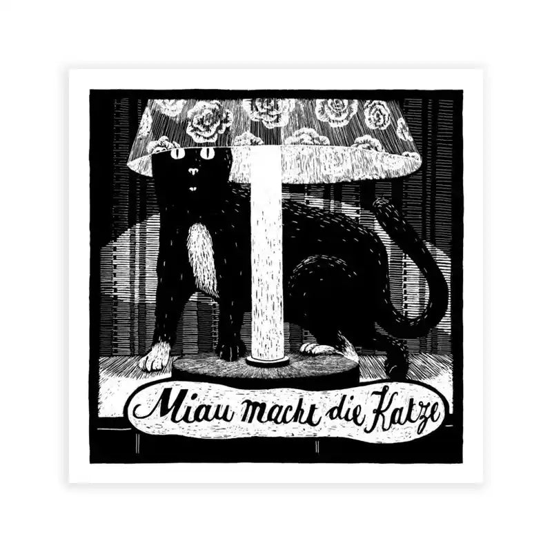 Phillip-Janta-Tierbilder-Prints-23x23cm-Katze