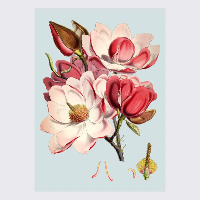 Poster / Pink Flower / 30x40 cm / gerahmt oder ungerahmt