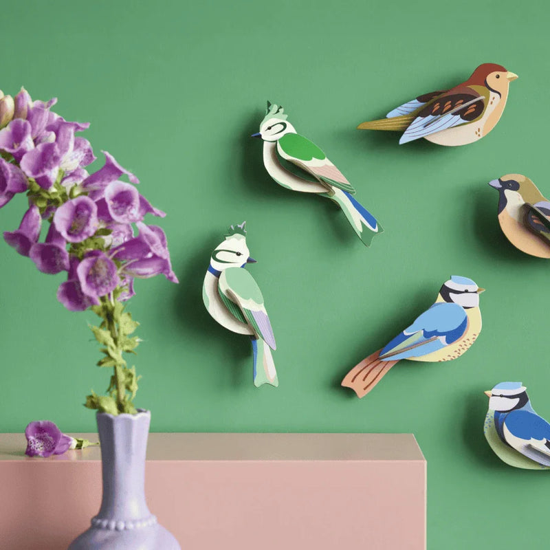 Studio roof 3D wanddeko aus Karton Gartenvögel an der Wand