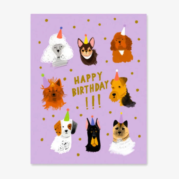 1973-Postkarte-Geburtstag-Carolyn-Suzuk-Text-Happy-Birthday-Dog