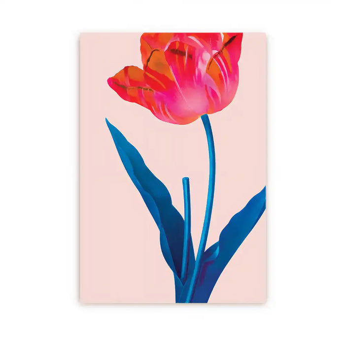 Kew Gardens / Red Tulip
