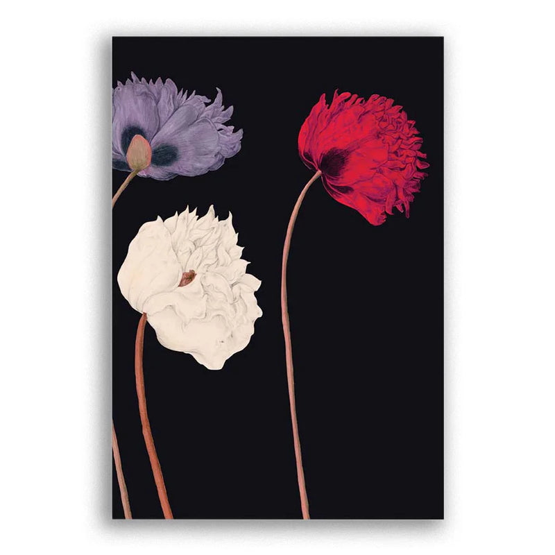 Postkarte / Kew Gardens / Poppy_A6