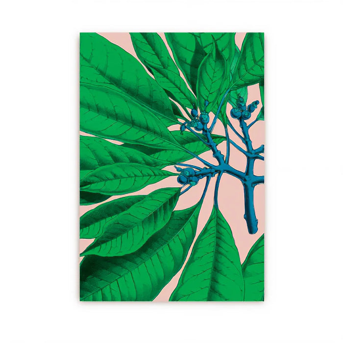 Postkarte / Kew Gardens / Poinsettia
