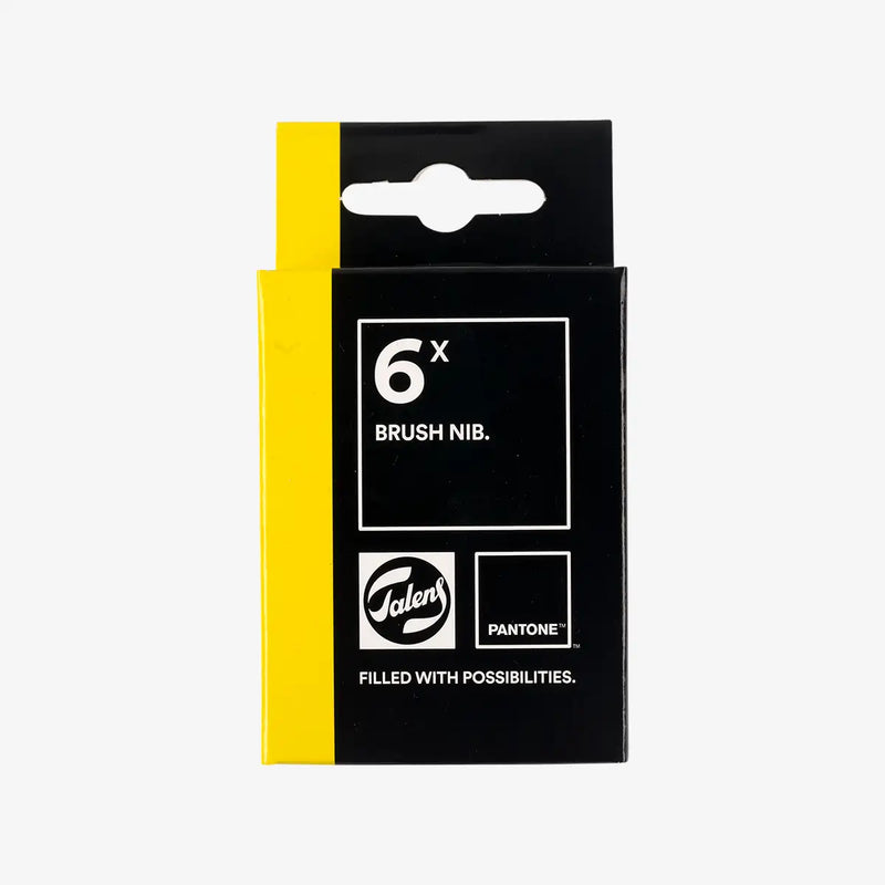 6-Brushnibs-in-cardboard-hanging-box-Cover-front