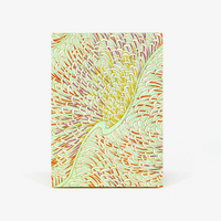 Aquaqrell,Tuschezeichnungen-Leporello-Format-12x17cm-fuer-14Fotos-Chiyogami-Federn-swirls-aufpastellgruen-Produktansicht-Cover-Vorn