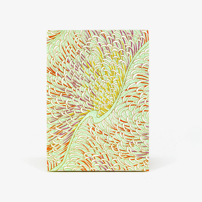 Aquaqrell,Tuschezeichnungen-Leporello-Format-12x17cm-fuer-14Fotos-Chiyogami-Federn-swirls-aufpastellgruen-Produktansicht-Cover-Vorn