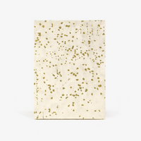 Aquarell-Leporello-Format-12x17cm-fuer-14Fotos-Loktapapier-Schneegestoeber-gold-auf-natur-Produktansicht-Cover-vorn