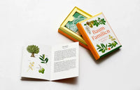 Laurence King Verlag /  Baum familien / ein botanisches Quartett