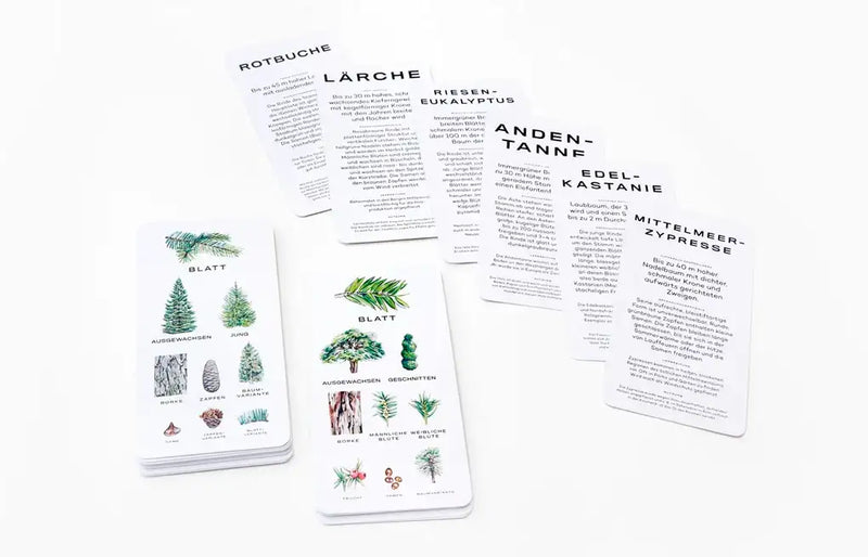 Laurence King Verlag / Baum-Wissen / 30 Karten zum Erkennen von Bäumen