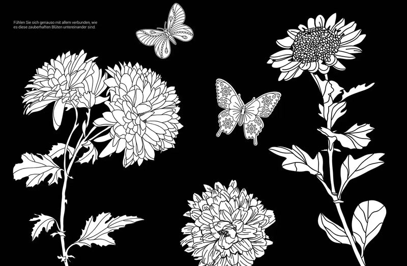 EMF / Inspiration / Blüten und Schmetterlinge