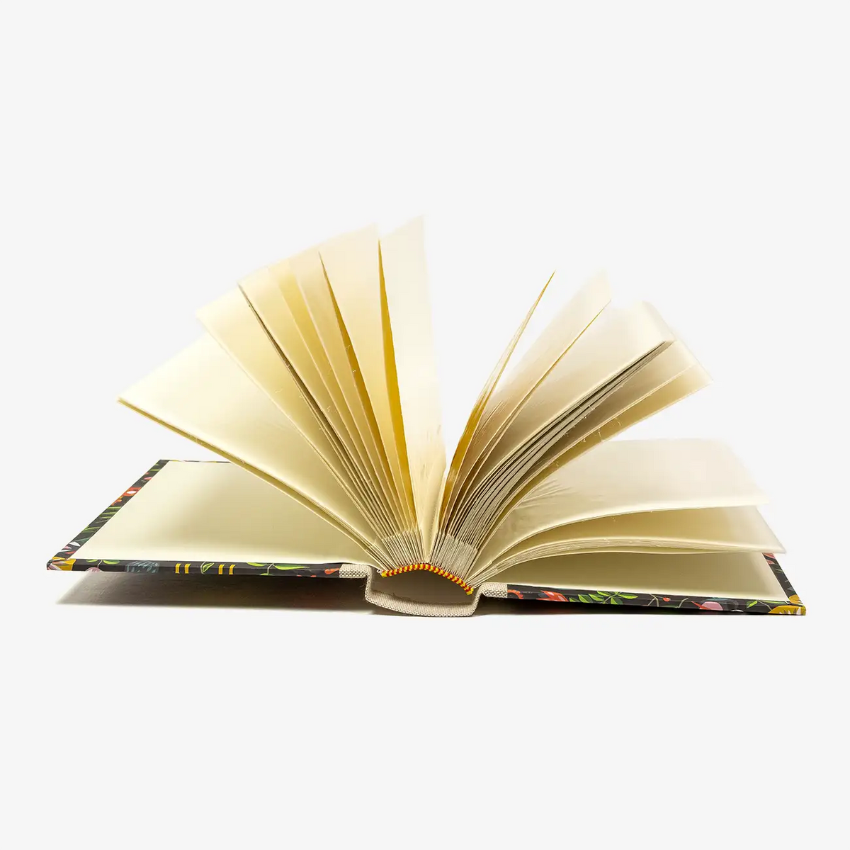 Blaupause-Fotoalbum-Format-15x10cm-30-Folien-bezogen-mit-Offset-PApier-Motiv-Giraffe-Innenansicht