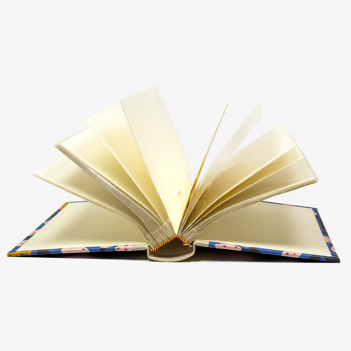 Blaupause-Fotoalbum-Format-15x10cm-30-Folien-bezogen-mit-Offset-PApier-Motiv-Voegel-auf-Blau-innenansicht