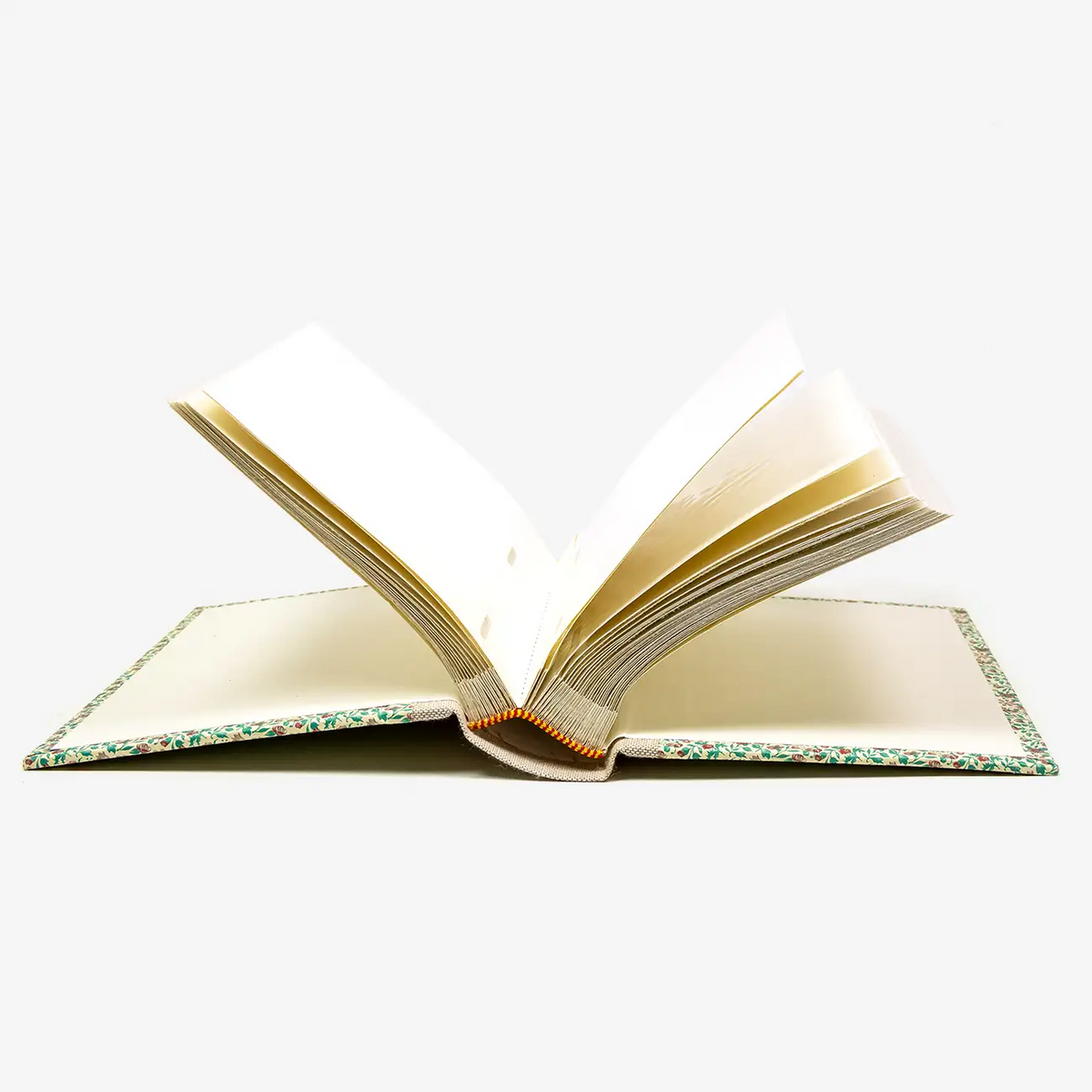 Blaupause-Fotoalbum-Format-15x10cm-30-Folien-bezogen-mit-Offset-PApier-carta-varese-Motiv-Kleine-Blumen-mit-Petrol-blaetter-liegend-offen