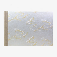 Blaupause-Fotolbum-24x35cm-Welle-gold-Silber-auf-Weiss-100-Seiten-cover-von-vorn