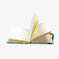 Blaupause-Notizbuch-liniert-A6-mit-chiyogamipapier-Einband-160Seiten-Motiv-kraniche-auf-mint-aufgeschlagen-innenansicht