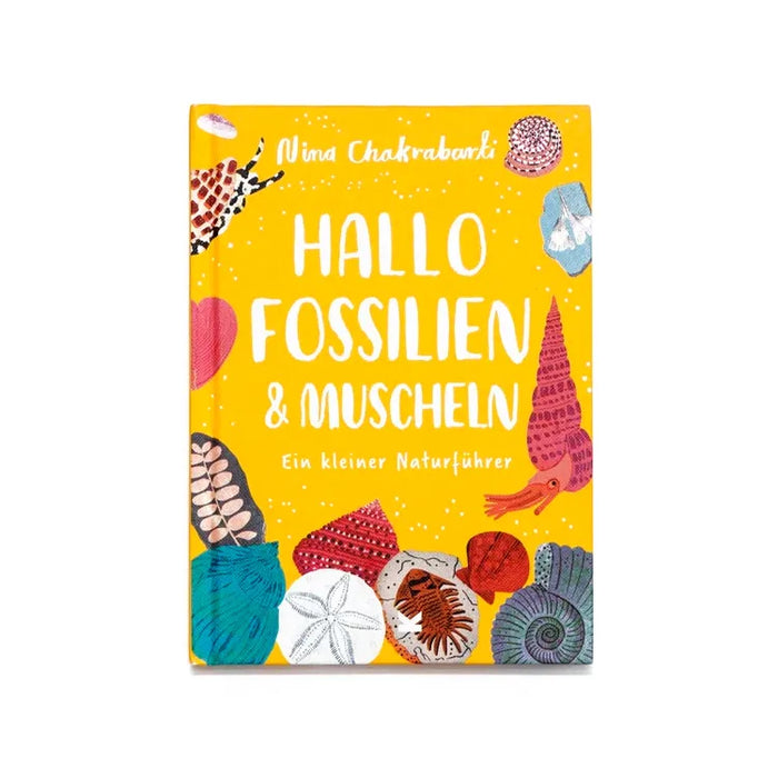 L. King Verlag / Hallo Fossilien & Muscheln / Ein kleiner Naturführer / Nina Chakrabarti