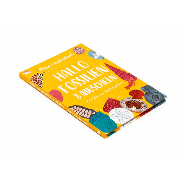 L. King Verlag / Hallo Fossilien & Muscheln / Ein kleiner Naturführer / Nina Chakrabarti