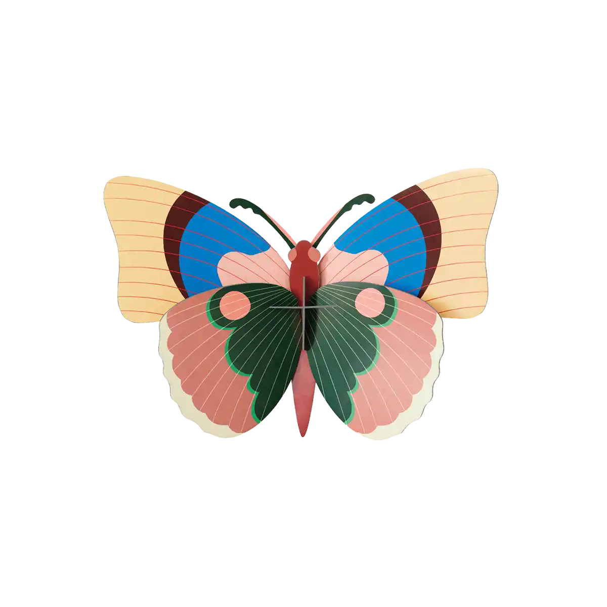 Cepora Butterfly / 3D Objekt / Wanddekoration