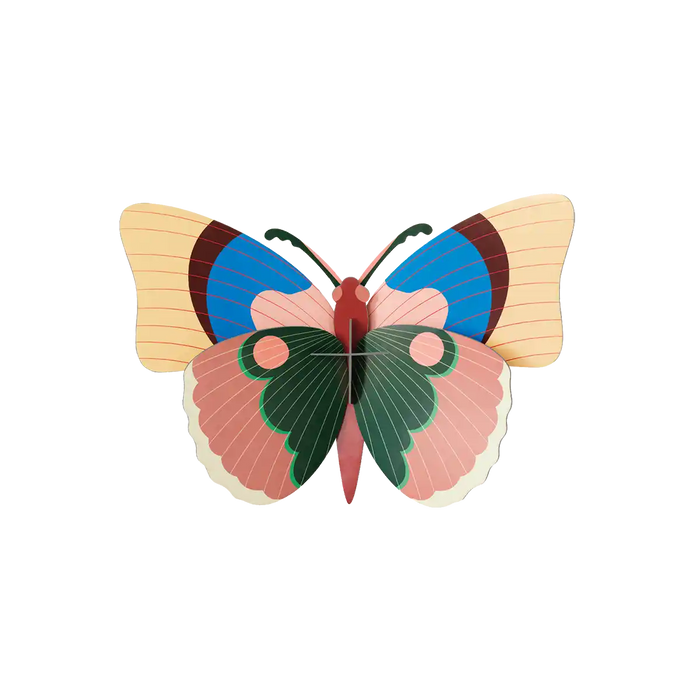 Cepora Butterfly / 3D Objekt / Wanddekoration