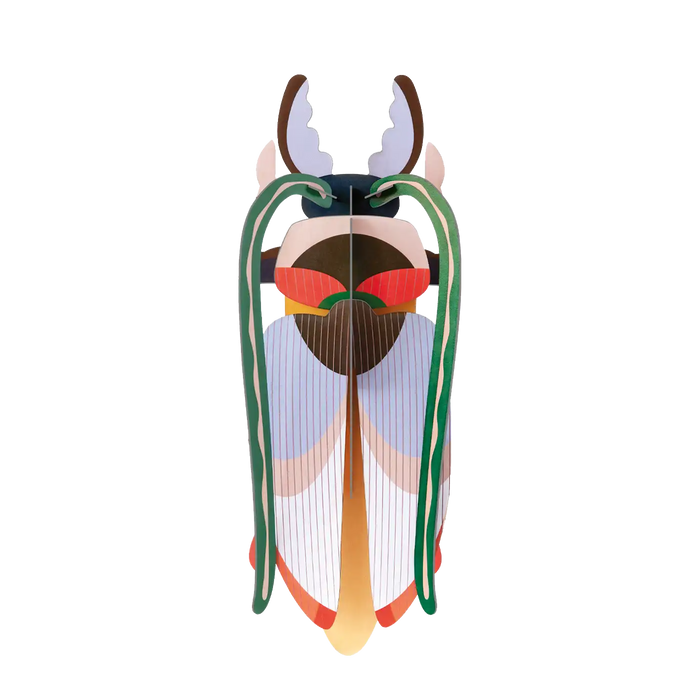 Cosmos beetle / 3D Objekt