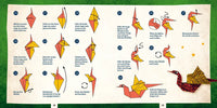 Analyzing image  Das-inoffizielle-Origami-fuer-Potterheads-Origami-Faltanleitungsbuch-mit-motivblaettern-Emf-inside-3