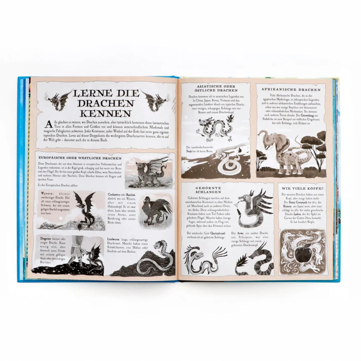 Der-drachen-Atlas-gedrucktes-buch-Blick-ins-Buch-2
