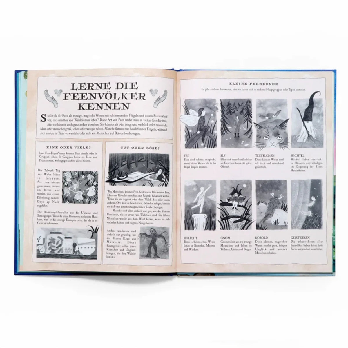 Der-feen-Atlas-gedrucktes-buch-blick-ins-buch-2