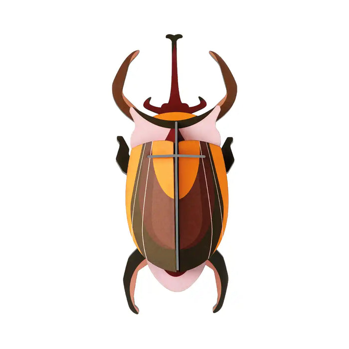 Small Insects / Elephant beetle
