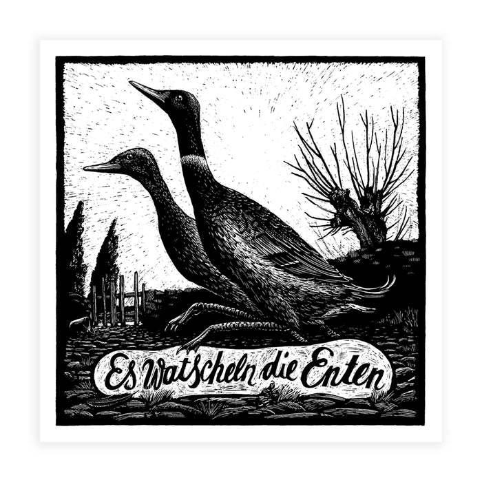 Analyzing image  Enten-kleinerArtprint-23.5x23.5cm-Phillip-Janta