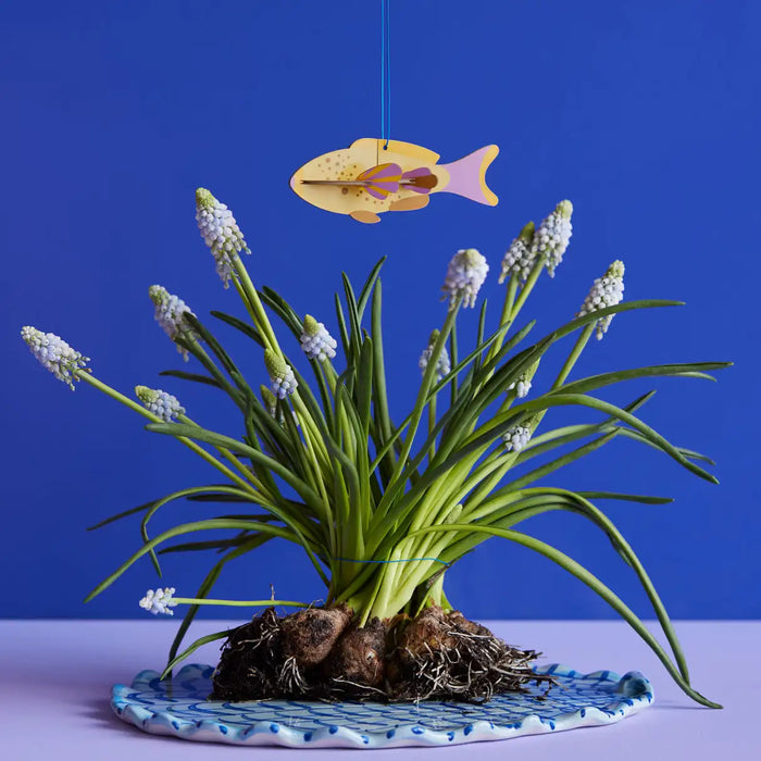 FISH_ORNAMENT-FESTIVE-PLAY-LUCKY-CHARM_Studio_Roof-AMBIENT_PICTURE
