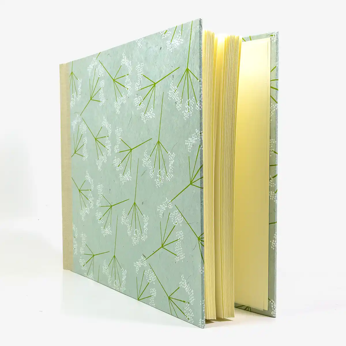 Fotoalbum-24x30cm-60-Seiten-cover-LoktaPapier-Motiv-Schachtelhalm-mildes-blau-maigruen-weiss-Cover-seitlich-von-vorn