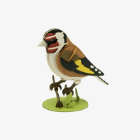 Fridolin-3D-Bastellset-tiermodell-gelasertt-Karton-3D-Papiermodell-Goldfink-Modell-Produktansicht-2