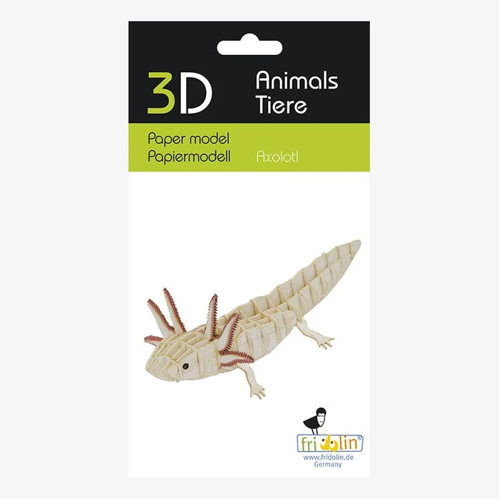 3D Papiermodell /  Axolotl
