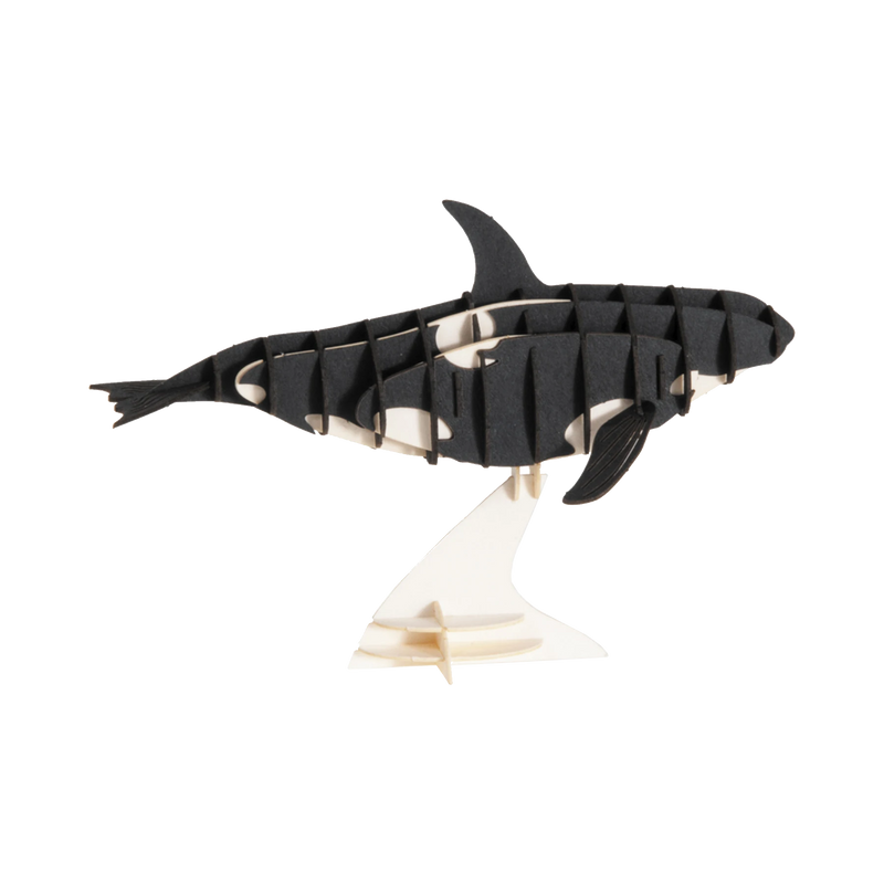 Fridolin-3D-Papiermodell-Orca-aufgebaut