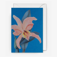 Grusskarte-Klappkarte-mit-Umschlag-Format-A6-Kew-GArden-Vicroria-Orchid-Produktansicht