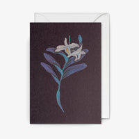 Grusskarte-Klappkarte-mit-Umschlag-Format-A6-Kew-Glasshouse-_Botanical-_White-_Orchid_-Produktansicht