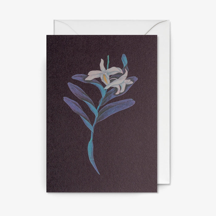 Grusskarte-Klappkarte-mit-Umschlag-Format-A6-Kew-Glasshouse-_Botanical-_White-_Orchid_-Produktansicht