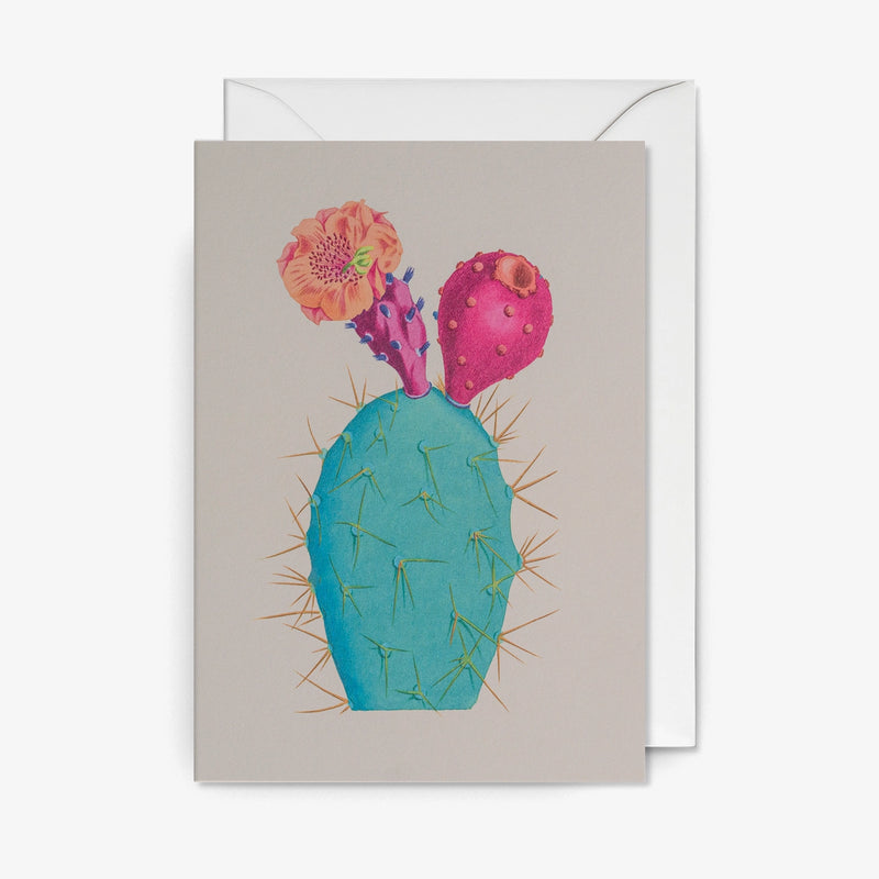Grusskarte-Klappkarte-mit-Umschlag-Format-A6-Kew-Glasshouse-_Opuntia-_Tuna-_Cactus_-Produktansicht