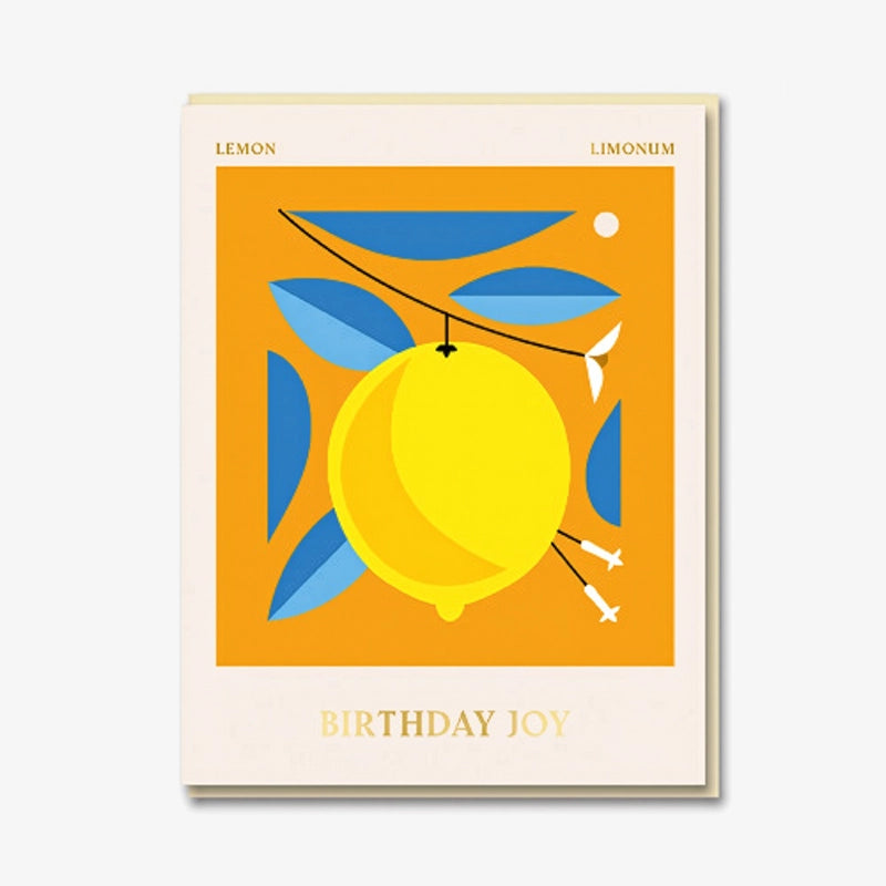 Grusskarte-Klappkarte-mit-Umschlag-lagom-Format-A6-DarlingClementine-Text-Birthday-joy-Produktansicht-mit-umschlag