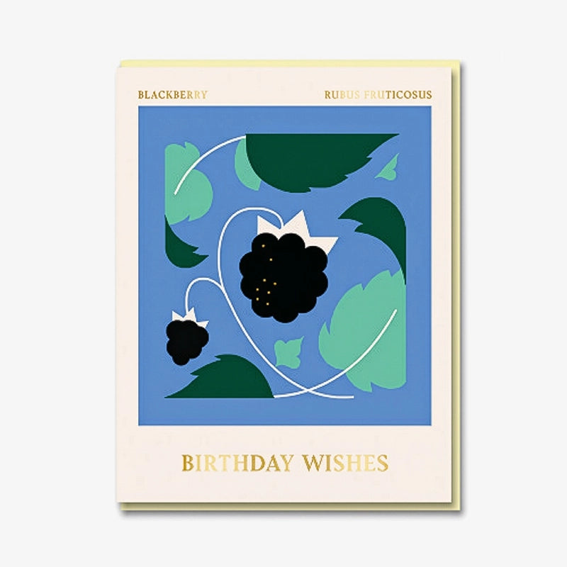 Grusskarte-Klappkarte-mit-Umschlag-lagom-Format-A6-Darling_Clementine-Text-Birthday-_Wishes-Produktansicht-mit-umschlag