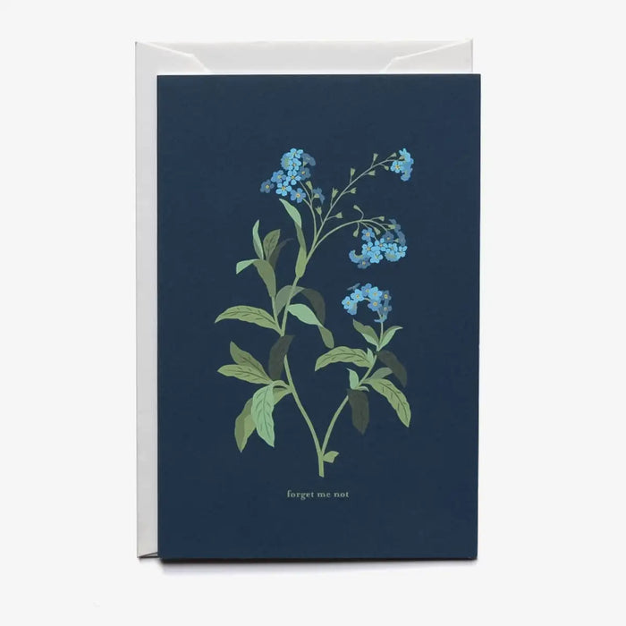 Haferkorn_Sauerbrey_-Trauerkarte-Kondolenzkarte-Forget-Me_-Not-B6-mit-Umschlag