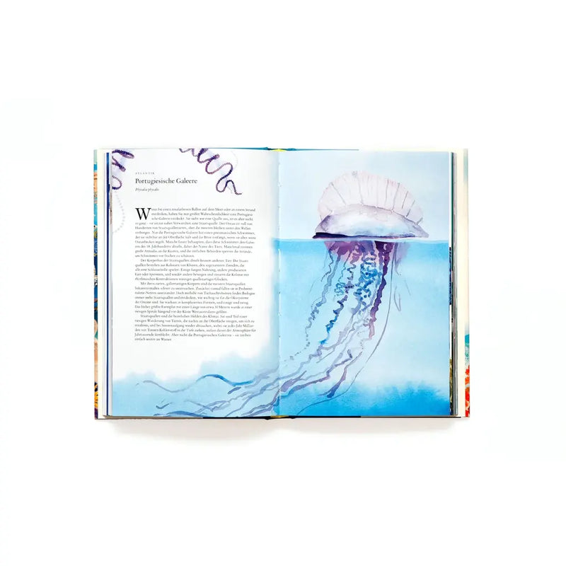 Laurence King Verlag / In 80 Meerestieren um die Welt / Hardcover