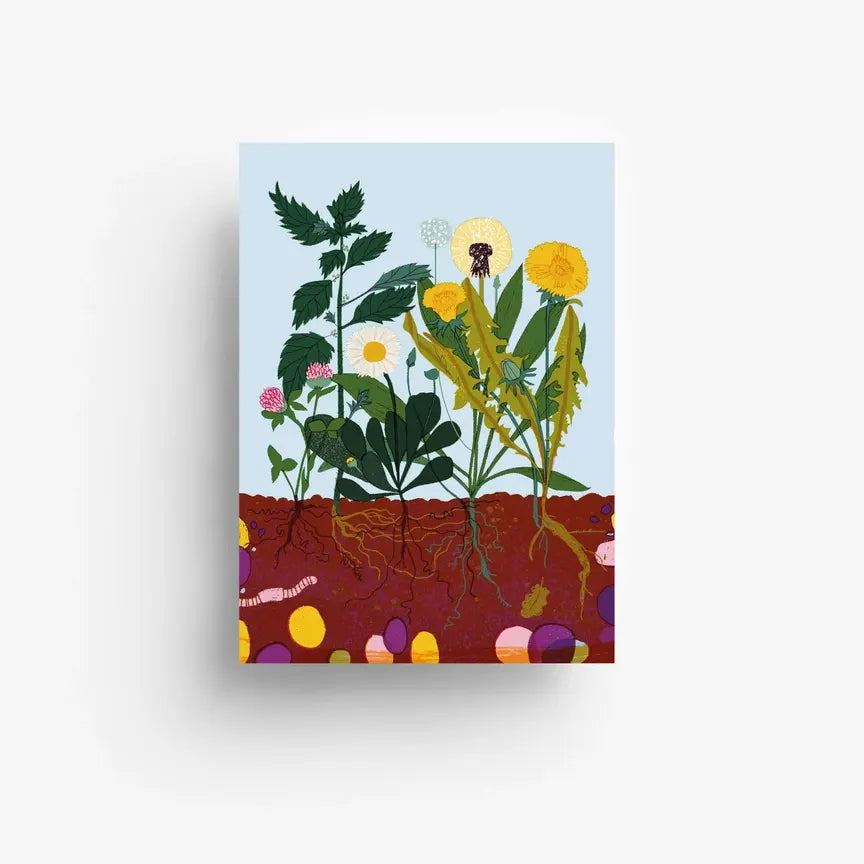 Postkarte / Kräuter