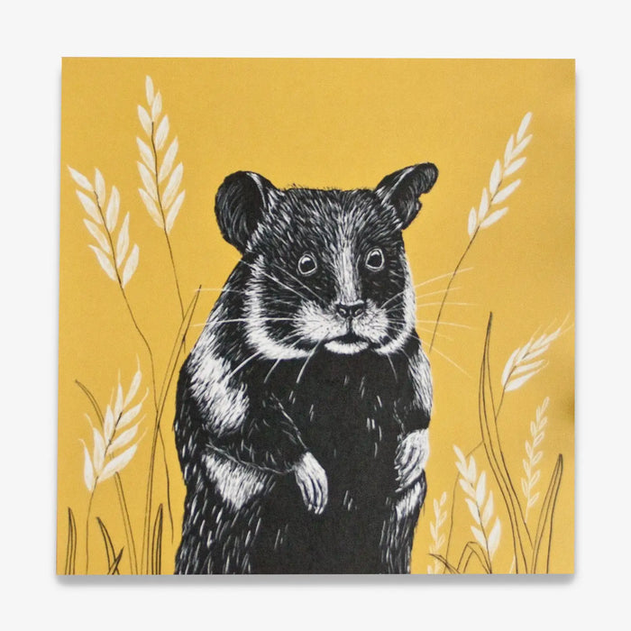 Katja-Rub-Quadratische-Postkarte-14.8x14.8cm-HAmster-Produktansicht-Vorn