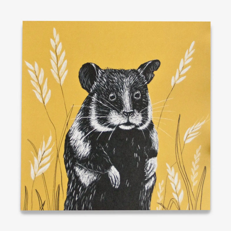 Katja-Rub-Quadratische-Postkarte-14.8x14.8cm-HAmster-Produktansicht-Vorn