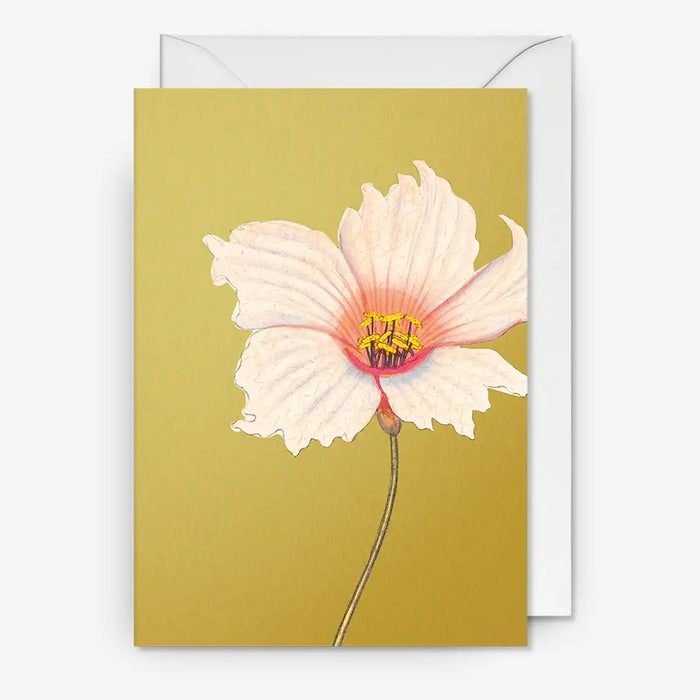 Kew-Gardens-A6-Grusskarte-Karte-mit-Umschlag-Botanic-Gold-Akemi-1