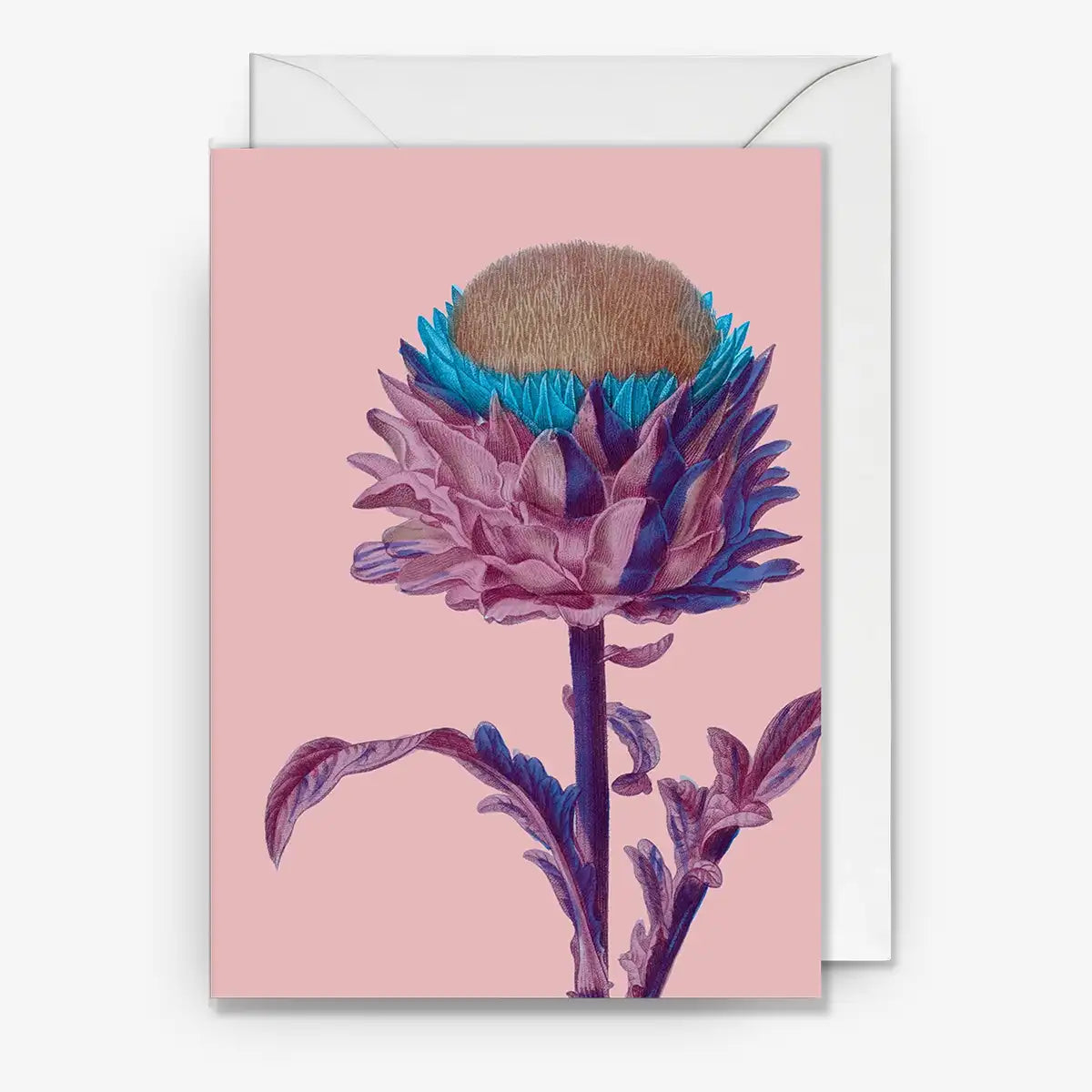 Kew-Gardens-A6-Grusskarte-Karte-mit-Umschlag-Botanic-Purple-Artichoke-1