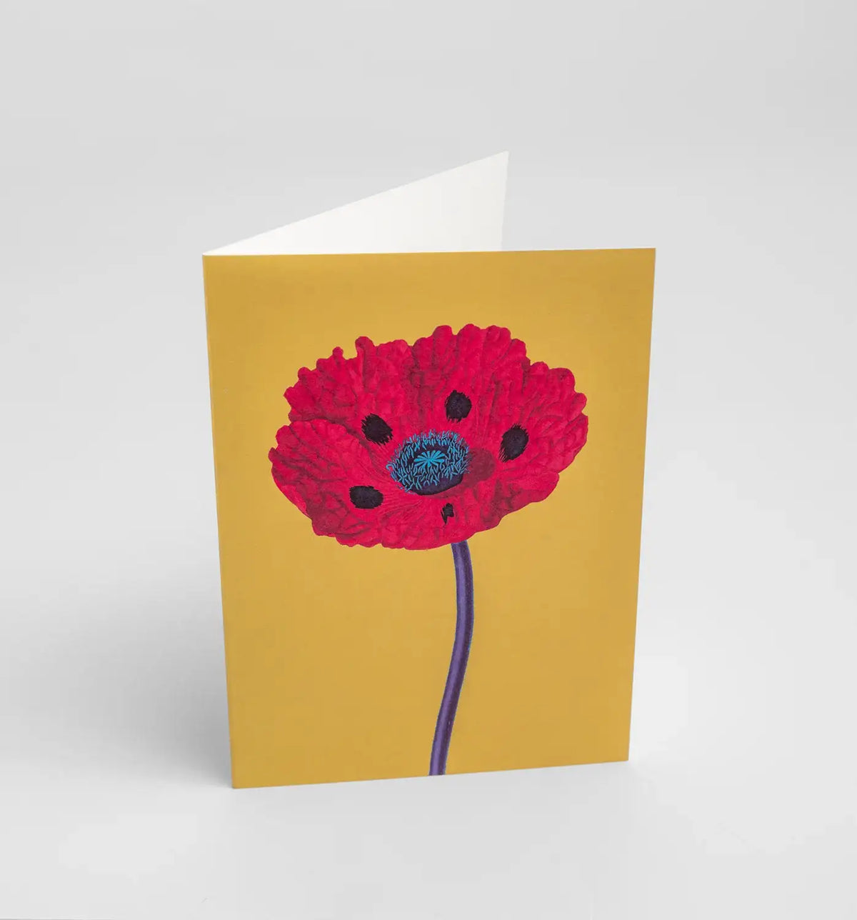 Grusskarte / Klappkarte mit weissem Umschlag / Soul Bright Poppy
